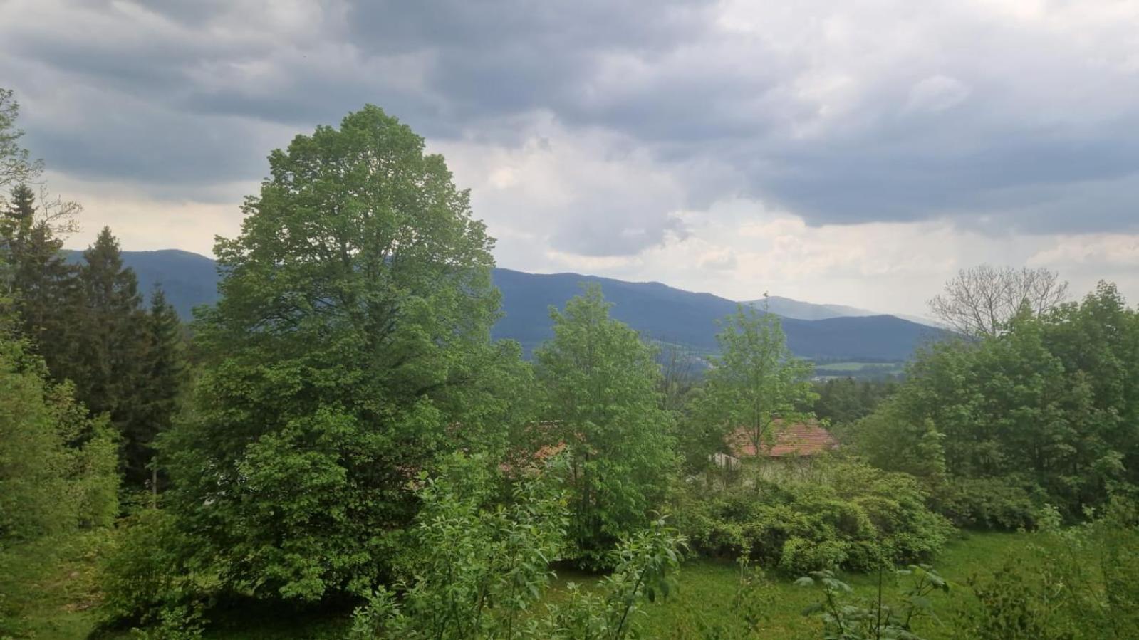 Schoene Unterkunft In Lohberg Mit Grillplatz Und Balkon מראה חיצוני תמונה
